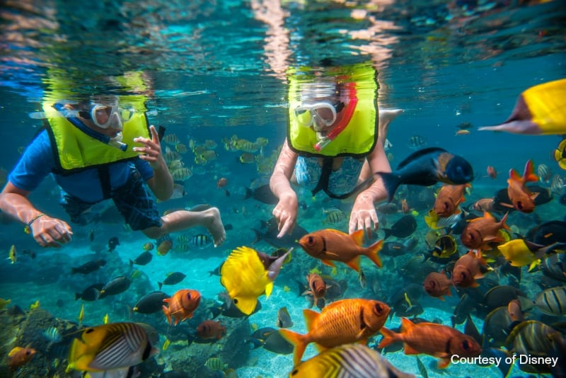 Sea Life Park, Hawaii Oahu Luaus Oahu luaus are a beloved island tradition and on the to-do list of most visitors to this beautiful Hawaiian island. A luau is a traditional Hawaiian custom, so if you want to get to know Hawaiian culture, visiting a luau is a great idea.