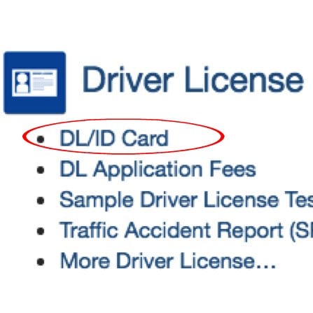 california dmv trip permit